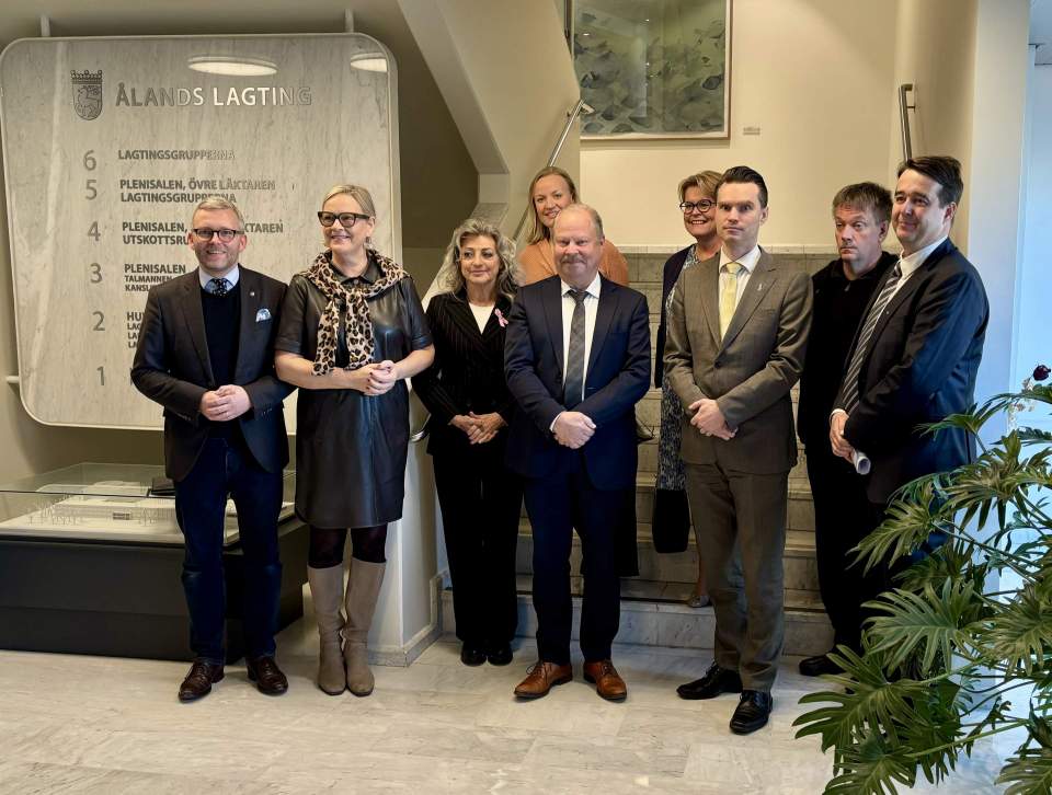 Ledamot Mats Löfström, ledamot Eva Biaudet, ledamot Ritva Elomaa, ledamot Helena Marttila, vicetalman Rainer Juslin, ledamot Sari Tanus, ordförande Heikki Autto, ledamot Teemu Keskisarja, vicetalman Marcus Måtar
