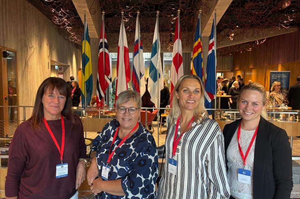 Ålands delegation till Nordiska rådet 